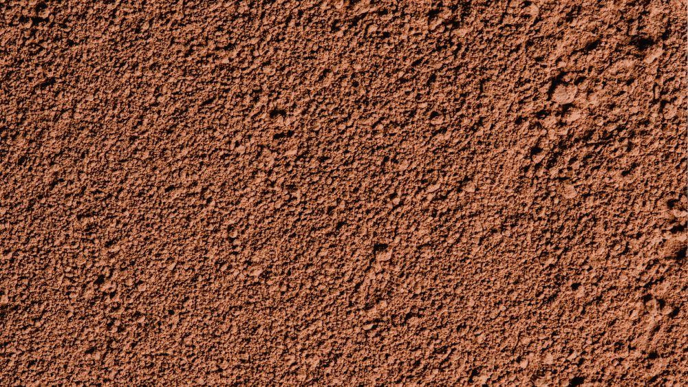 tierra-web